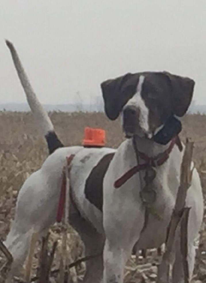 CROSSROADS ELHEW DOT