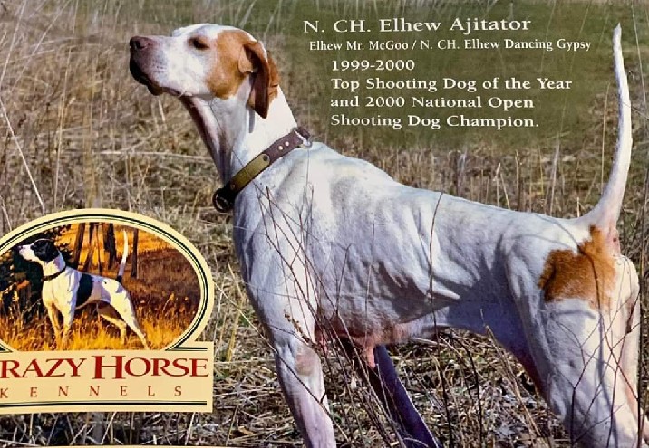 NTL. CH. ELHEW AJITATOR 