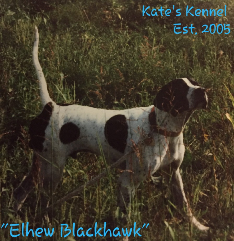 ELHEW BLACKHAWK 